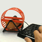 Chomik na USB