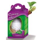 Jajko z wiadomością
