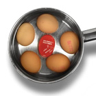 Kukułcze Jajo